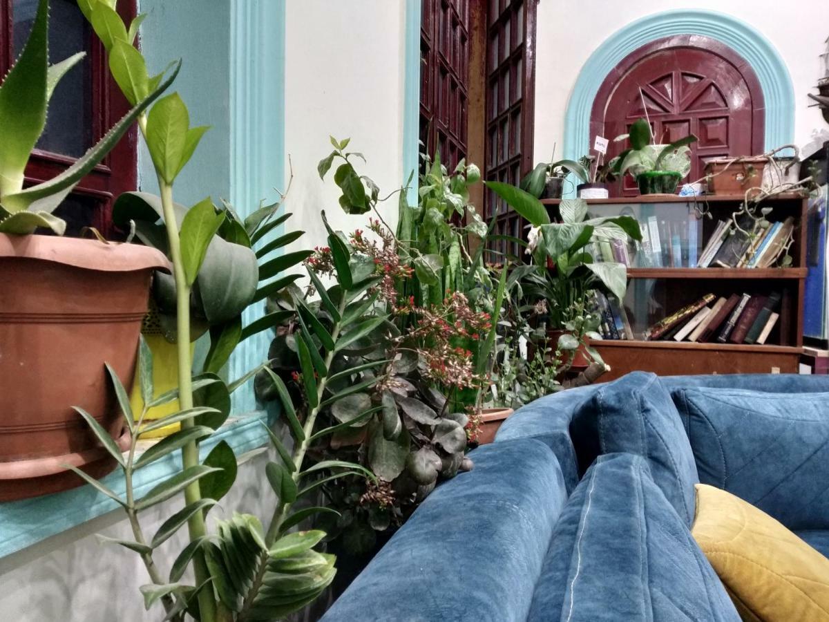 Flora Hostel 巴库 外观 照片